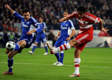 巩固了自己 巩固了自己